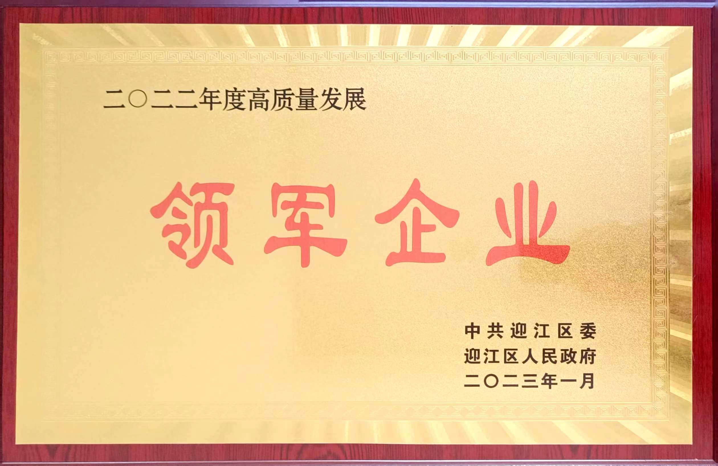公司在2023年迎江區(qū)高質(zhì)量發(fā)展大會上被通報表揚